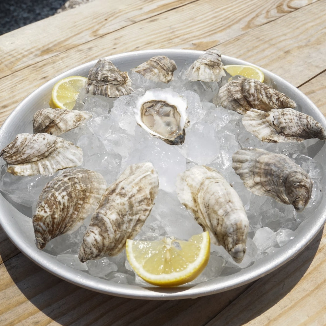 Love Oyster Party Pack
