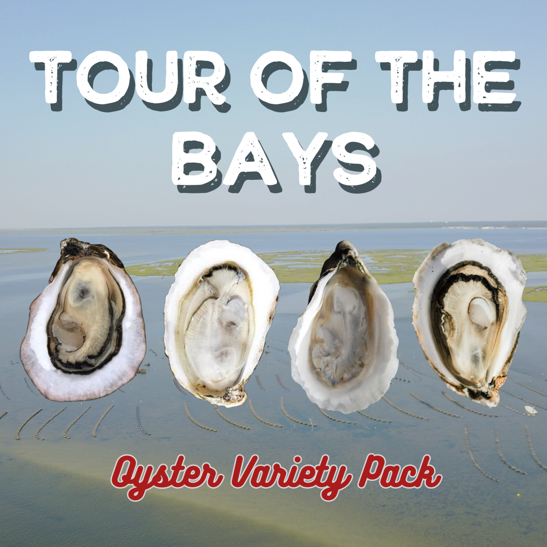 Tour of the Bays 4 Dozen Oyster Variety Pack
