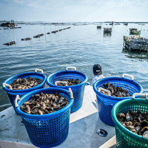 Sugar Shack Oyster Party Pack