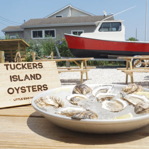 Tuckers Island Oyster Party Pack