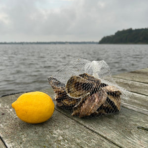 Oyster of the Month Club