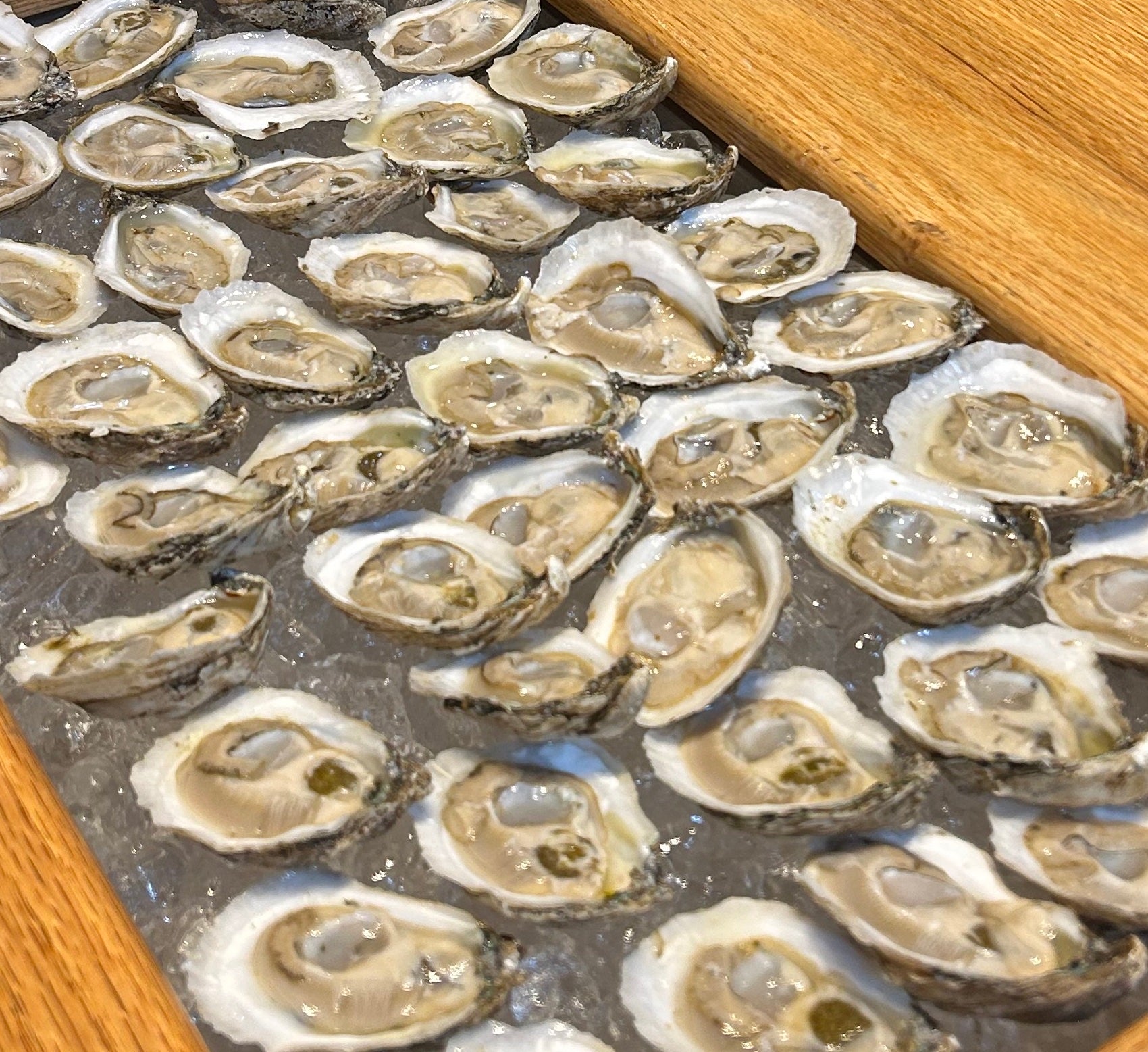 Oyster Knife – Barnegat Oyster Collective