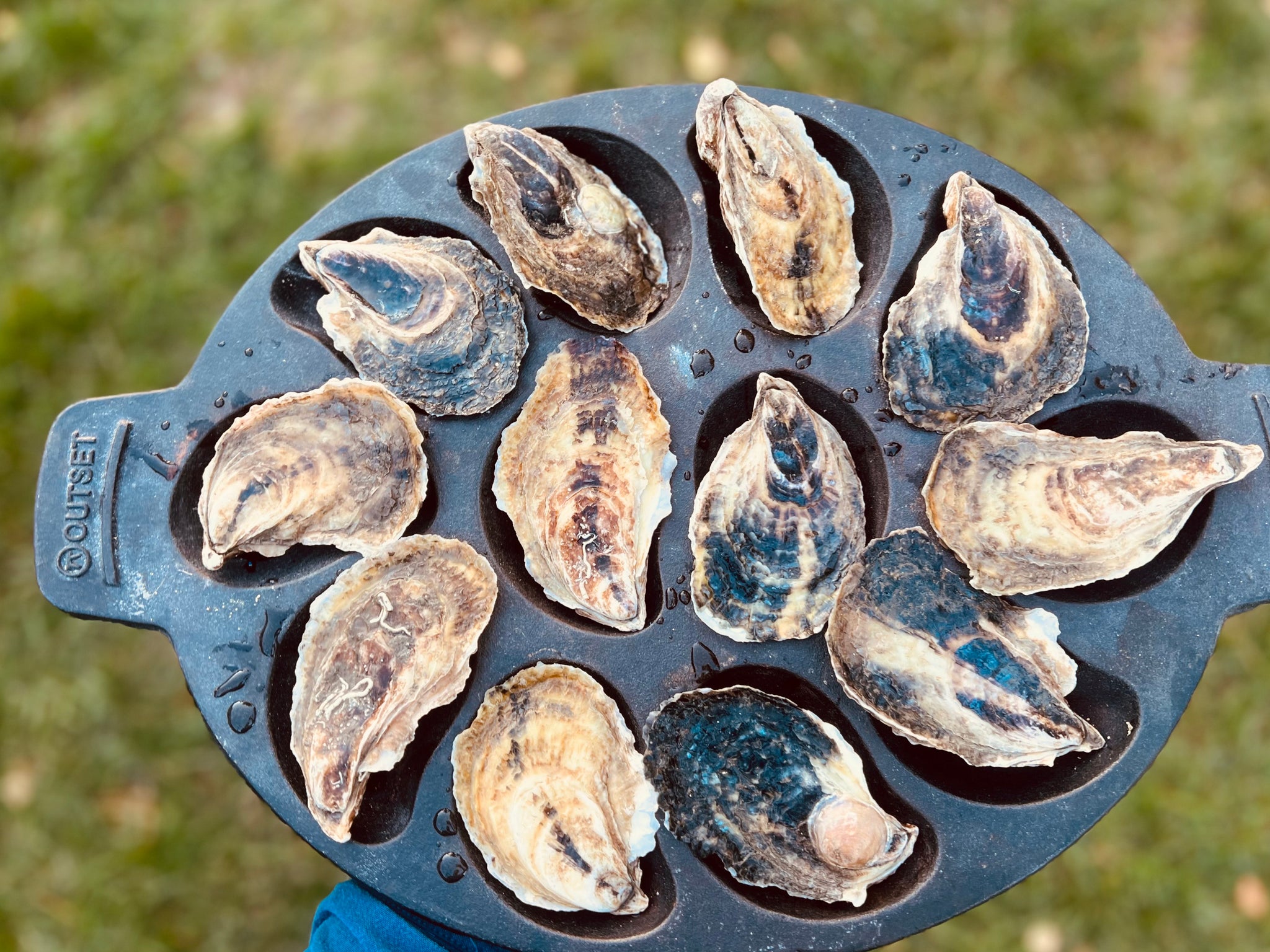 Outset Oyster Grill Pan