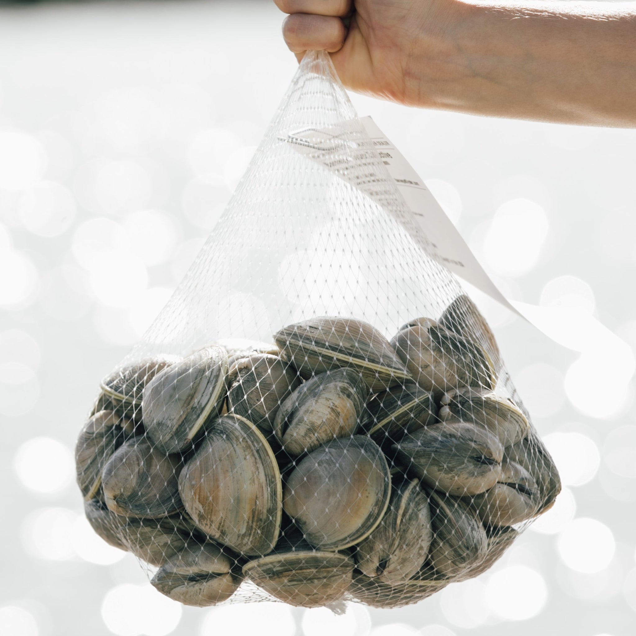 SALE: 25 Clams for $13!