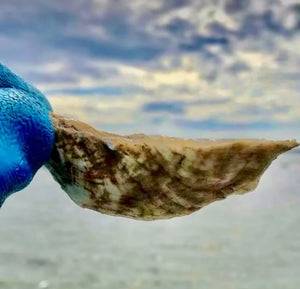 Laughing Gull Oyster Party Pack