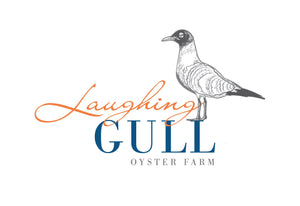 Laughing Gull Oyster Party Pack
