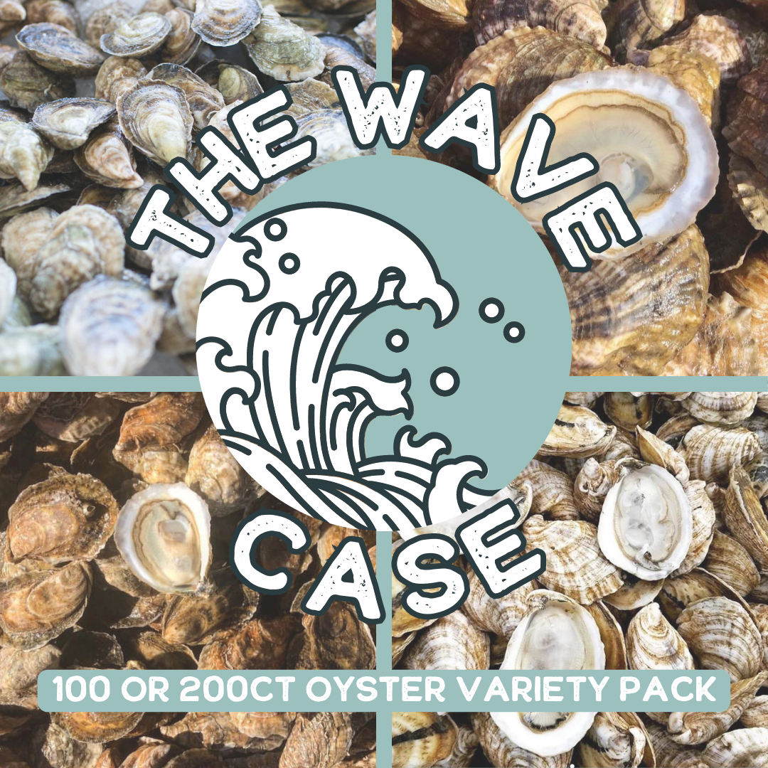 The Wave Case