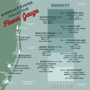 Sugar Shack Oyster Party Pack