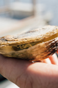 Oyster Roast Kit