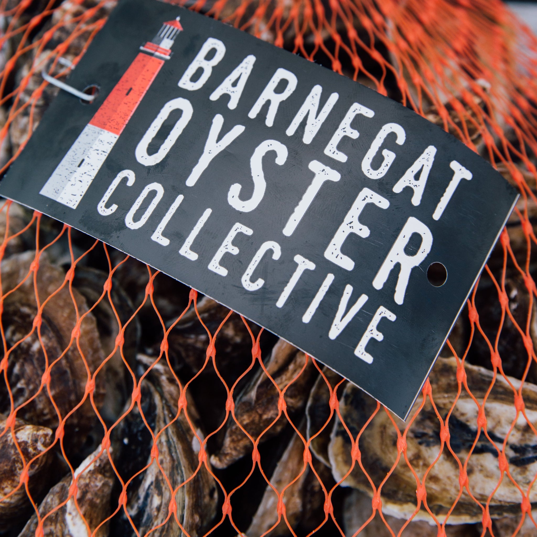 Cast Iron Oyster Roast Pan – Barnegat Oyster Collective