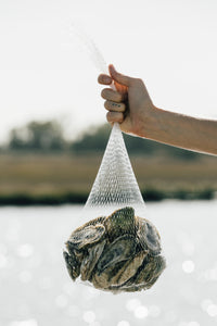 Oyster Roast Kit