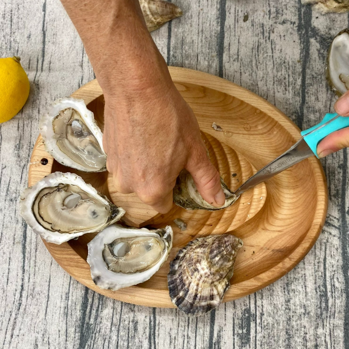 Branded Half Sheller Oyster Shucking Board