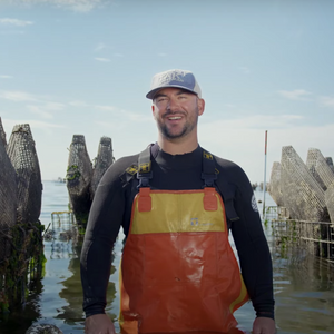 Laughing Gull Oyster Party Pack